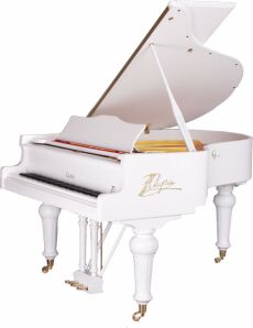Chopin M165